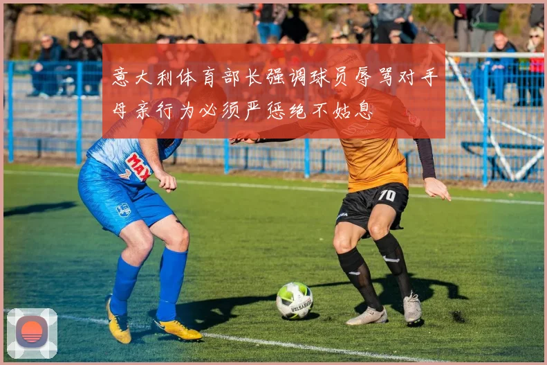 意大利体育部长强调球员辱骂对手母亲行为必须严惩绝不姑息