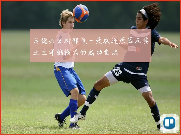 马德兴分析邵佳一受欢迎原因及其土主洋辅模式的成功尝试