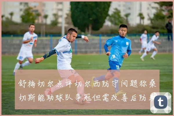 舒梅切尔点评切尔西防守问题称桑切斯能助球队争冠但需改善后防表现