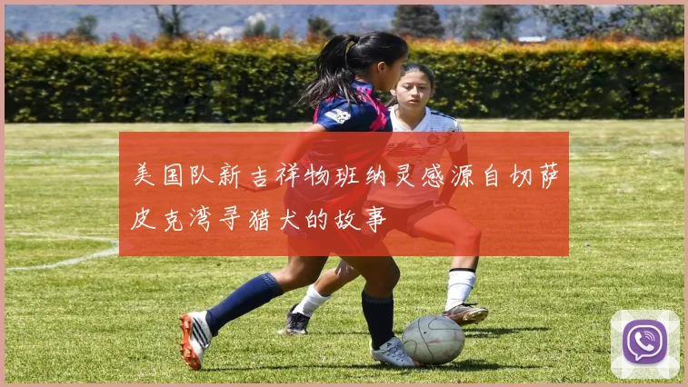 美国队新吉祥物班纳灵感源自切萨皮克湾寻猎犬的故事