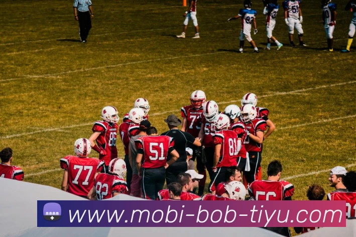 BOB体育APP 封面图