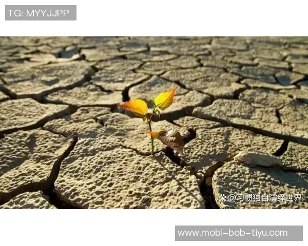 夸梅坚决反对精英阶层剥夺贫民窟孩子的成长机会与未来希望 夸梅坚决反对精英阶层剥夺贫民窟孩子的成长机会与未来希望